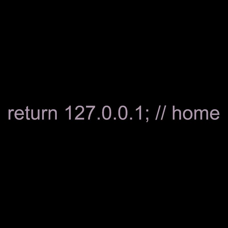 Programmer Nerd IT Joke Developer Home