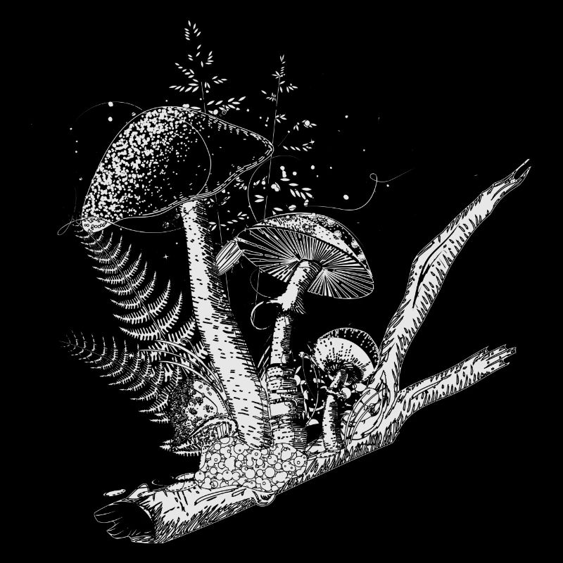 composition dessinée champignons forestiers, graminées et branches