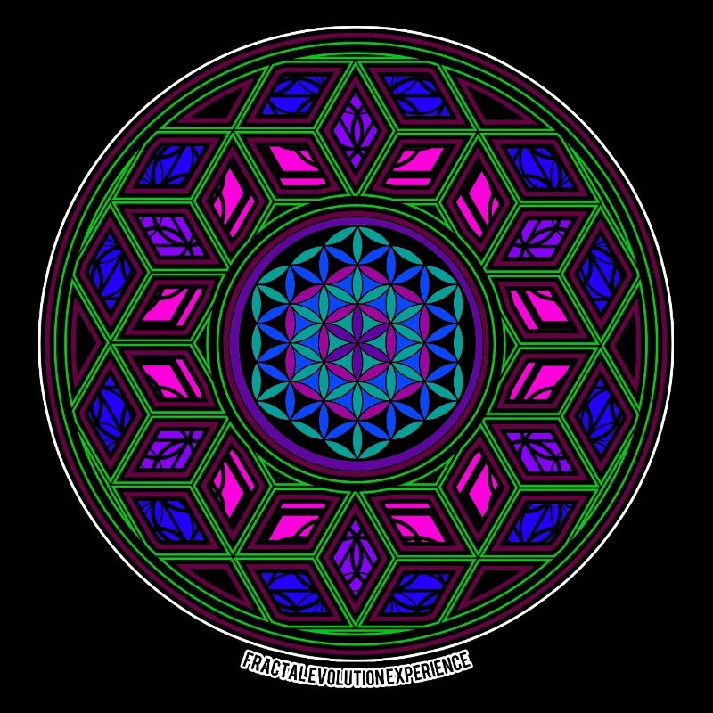 Fractal Evolution Experience Kaleidoscope Mandala