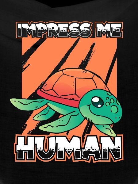 Turtle Sea Turtle