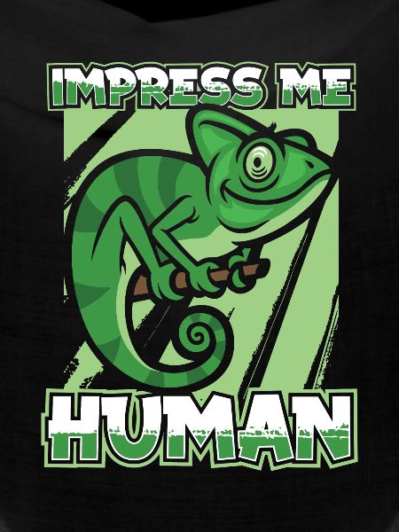 Chameleon Chamäleon