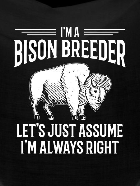 American Bison Buffalo