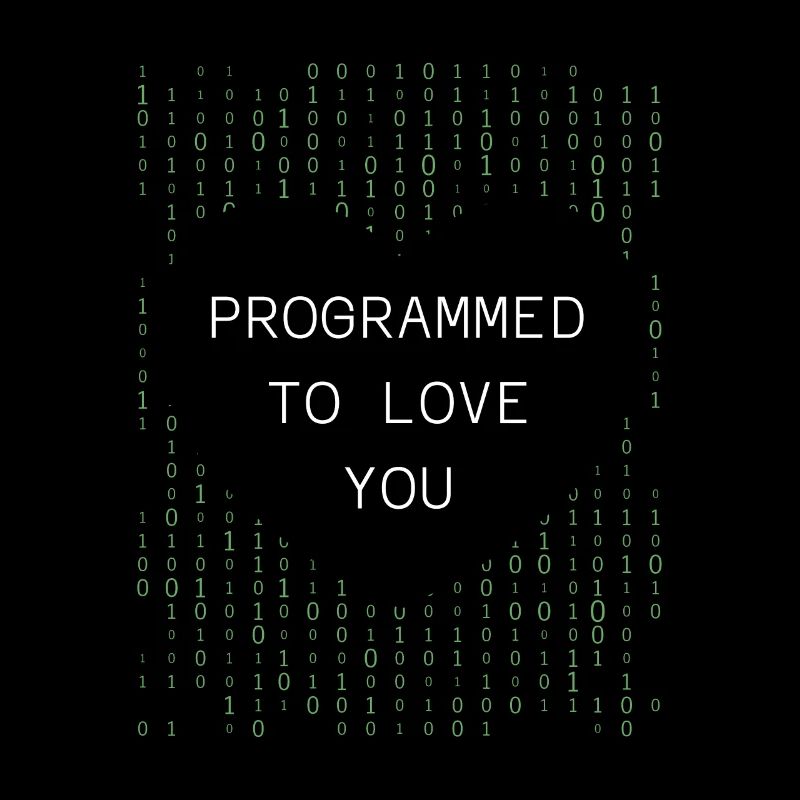 Developer Coder Programmer