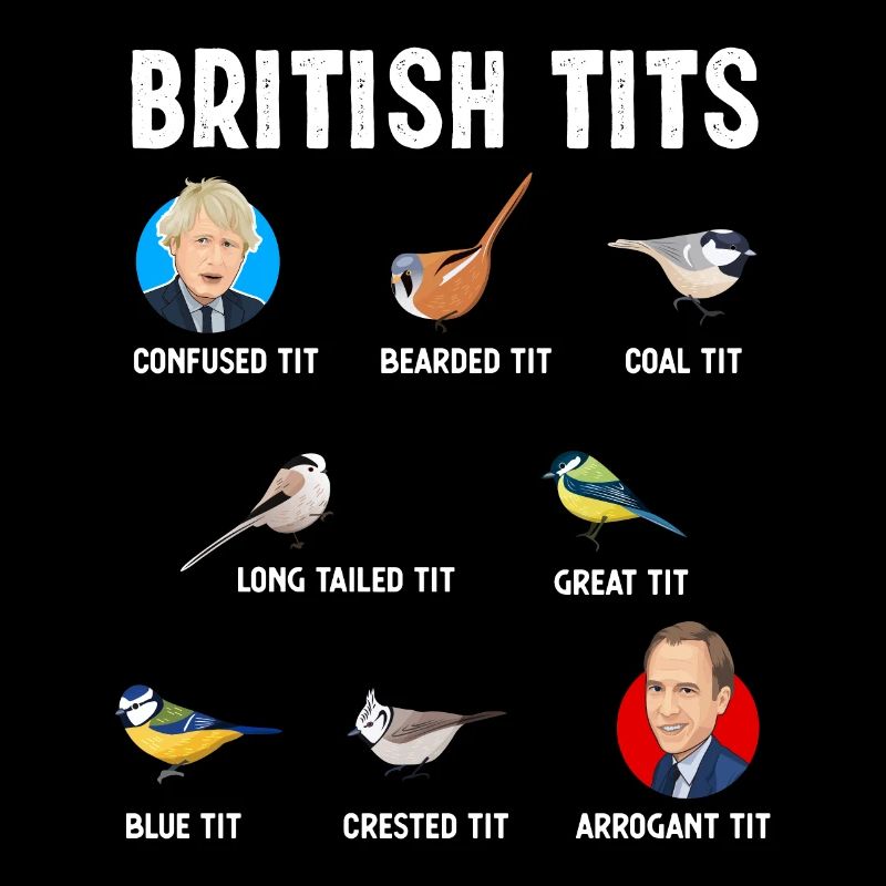 Tit Vogel Geschenk Boris Johnson Matt Hancock