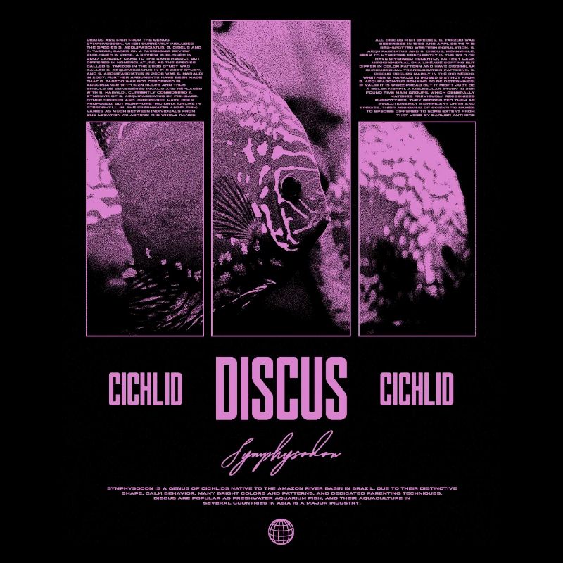 Discus Cichlidé Aquarium Fish Keeper