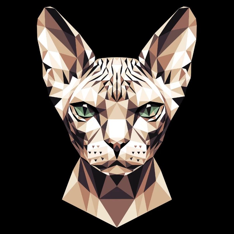 Sphynx Chat Sphynx Chat Chat Canadien Sphinx mignon