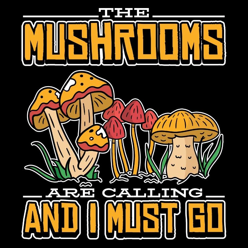 Appelle les champignons et je dois aller ramasser les champignons