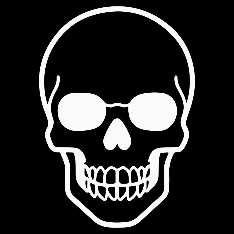 Minimalist skull design