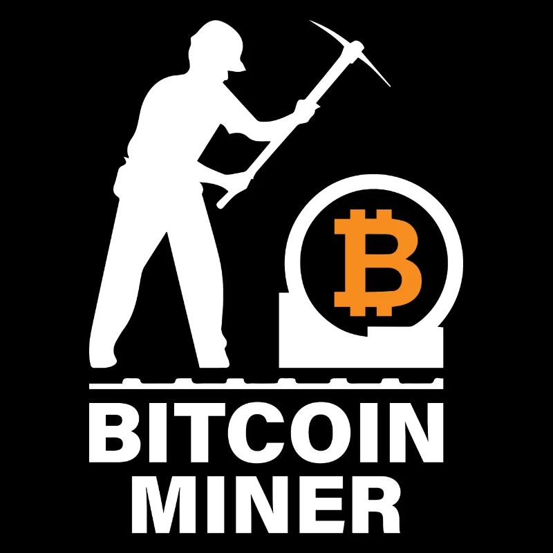 Bitcoin BTC Satoshi Miner Mining Maximalist