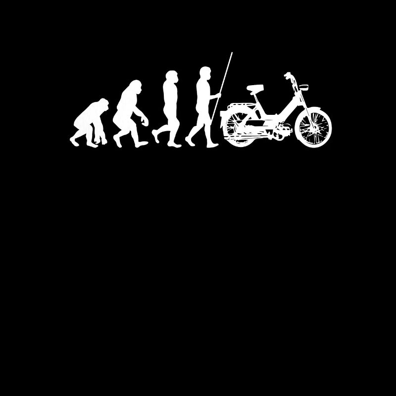 DDR Mobylette Oldtimer Roller Mofa Scooter 2 Takter