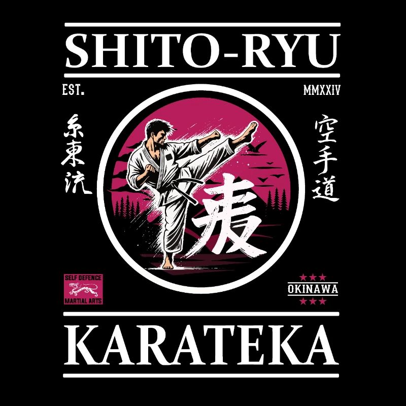 Karatéka Shito-Ryu – Maître de la précision