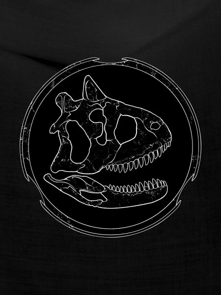 Carnotaurus Fossil Schädel