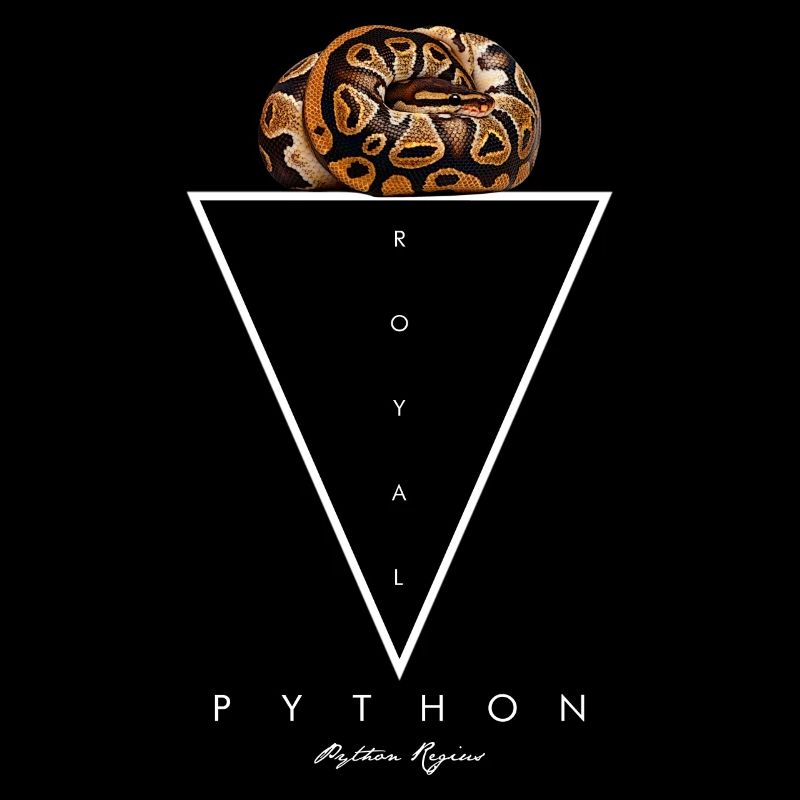 Royal Python géométrique moderne gardien de serpent