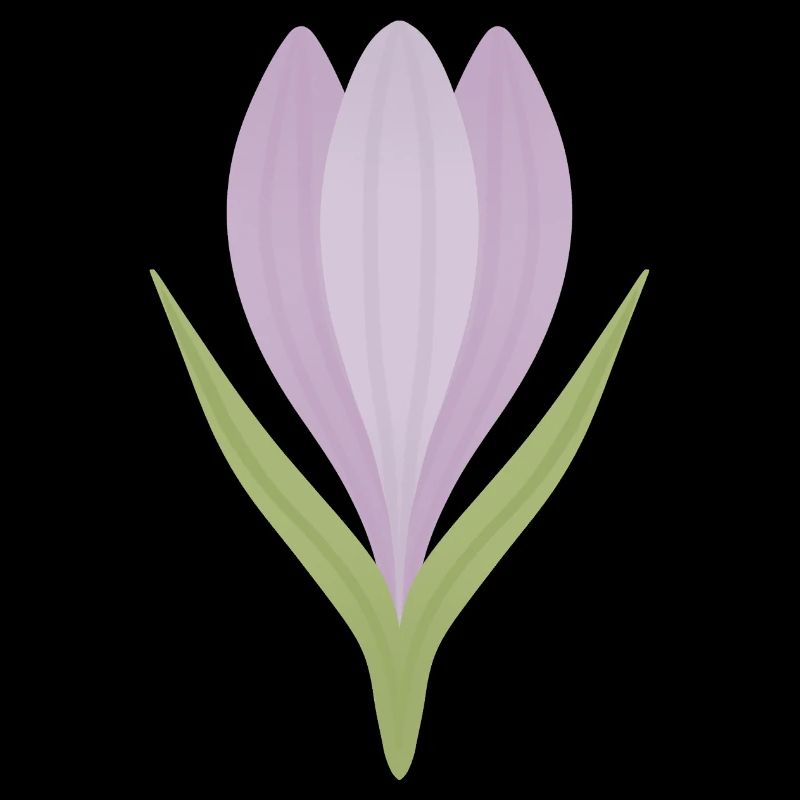 Illustration de la fleur de crocus lilas