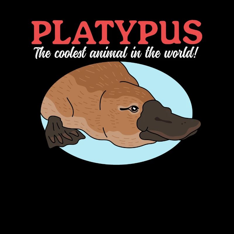 Platypus Platypus Platypus Gift