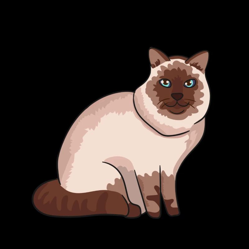 chat