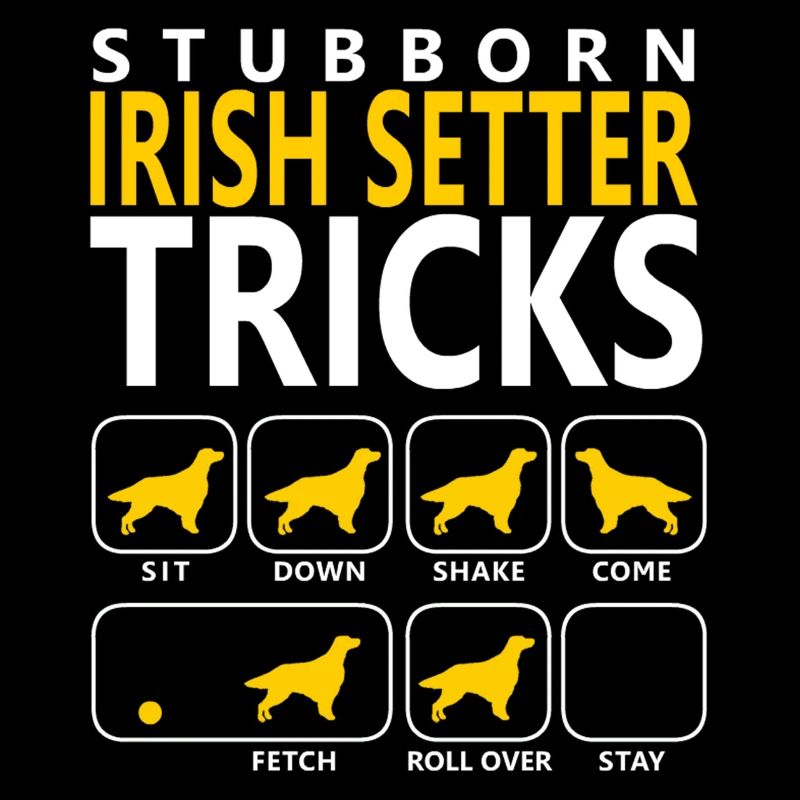 Stubborn Irish Setter Tricks
