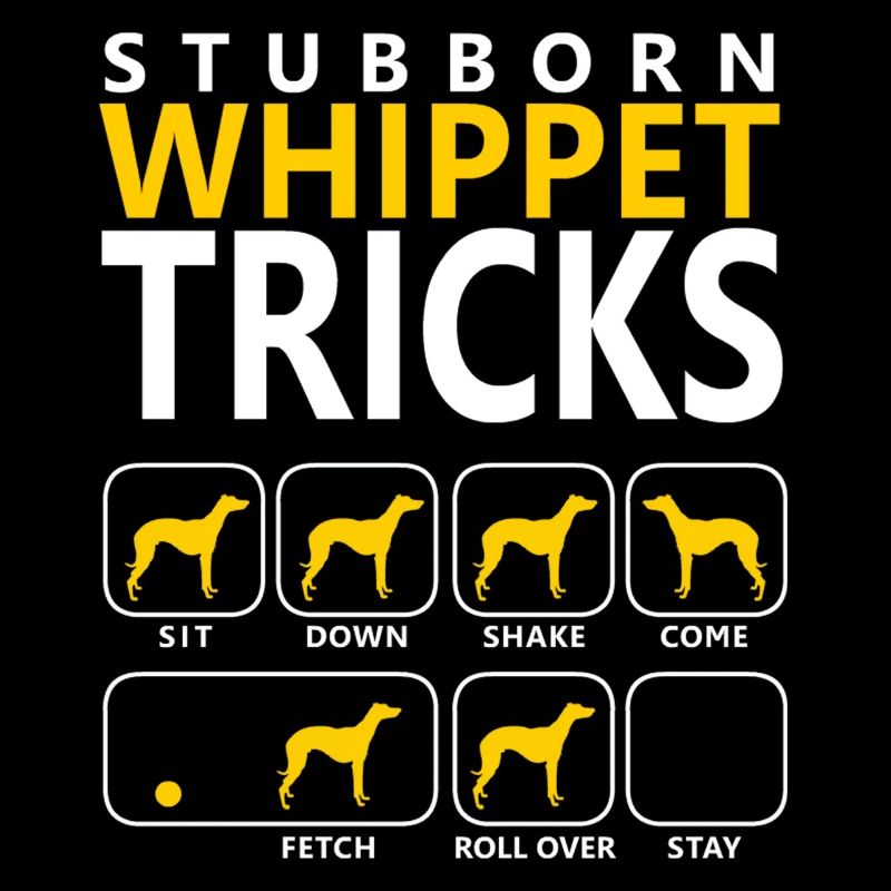 Stubborn Whippet Tricks