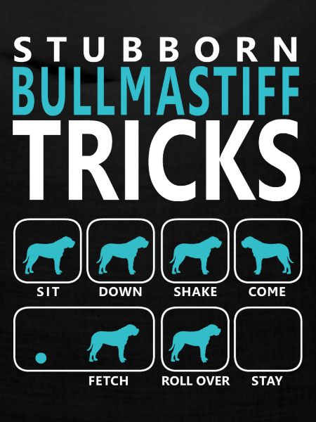 Stubborn Bullmastiff Tricks