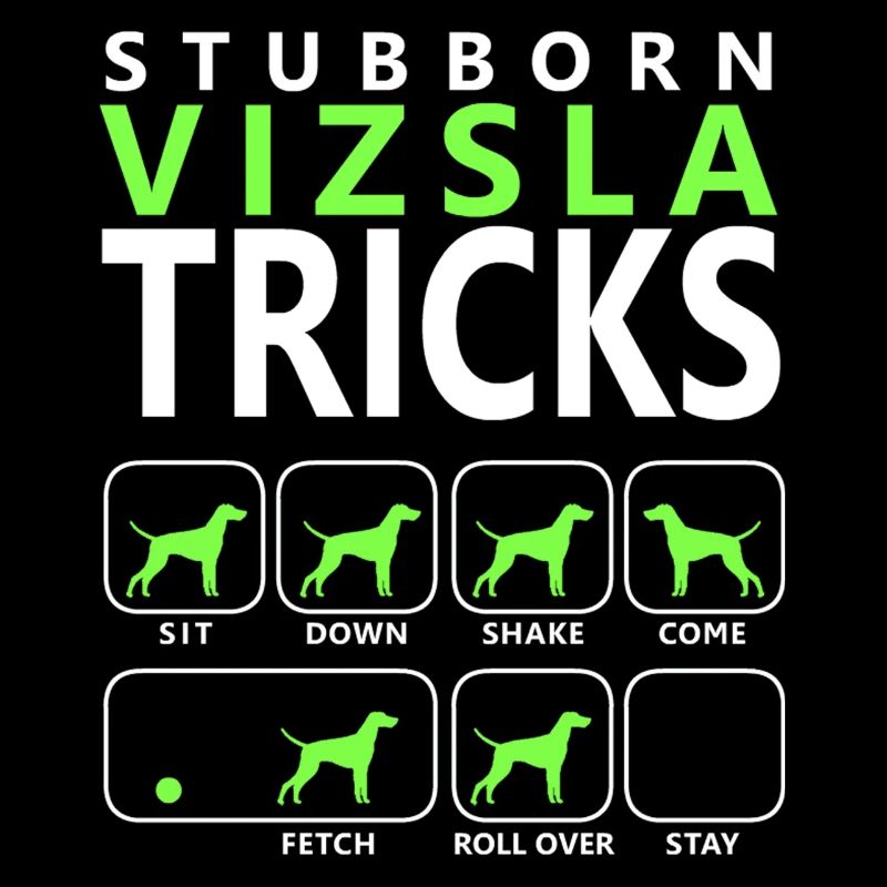 Stubborn Vizsla Tricks