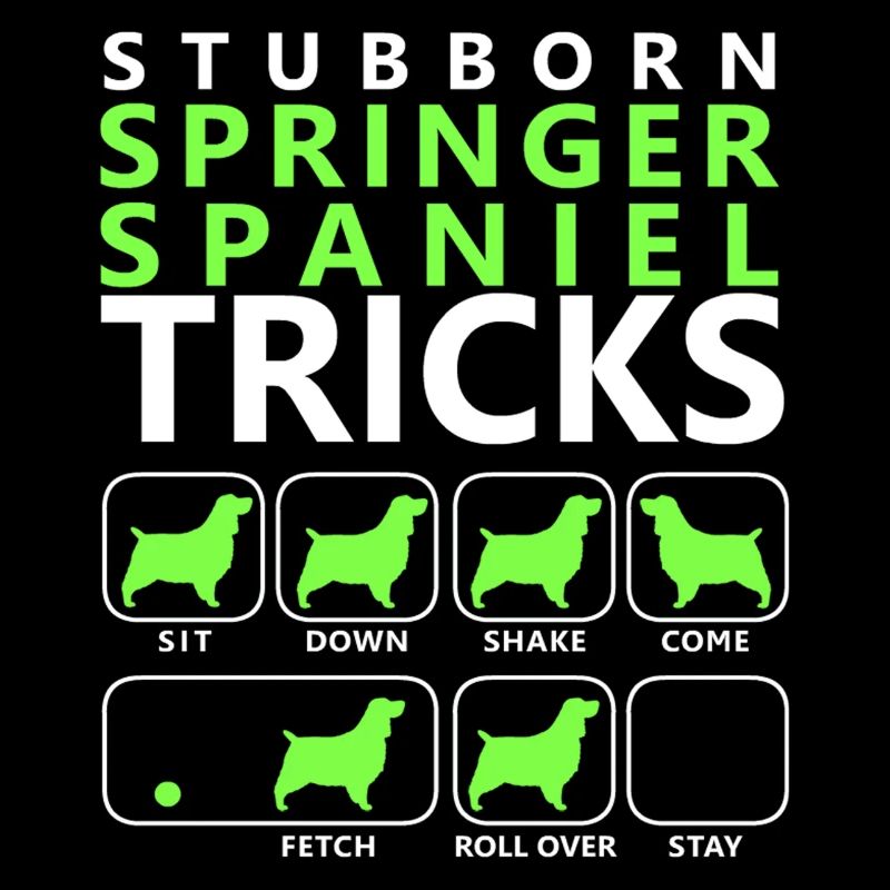 Hartnäckige Springer Spaniel Tricks