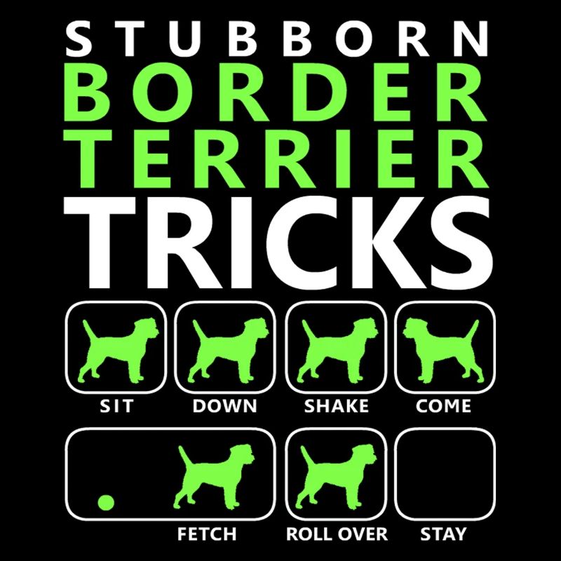 Hartnäckige Border Terrier Tricks