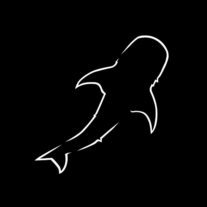 Requin-baleine Requin-baleine Plongée Apnée Océan Mee