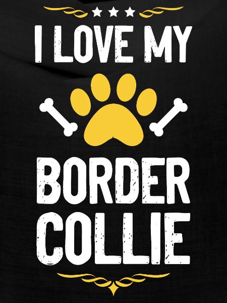 J’adore mon Border Collie
