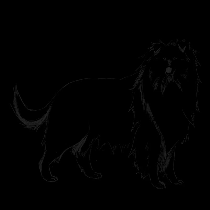 Long haired collie dog