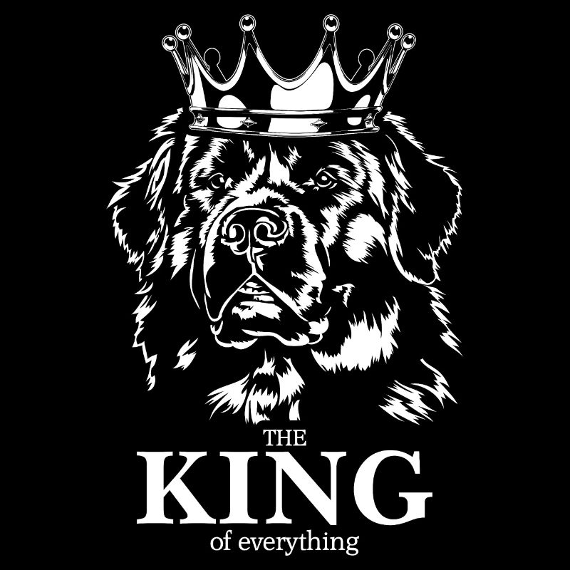 Neufundländer King of everything Spruch Hunde