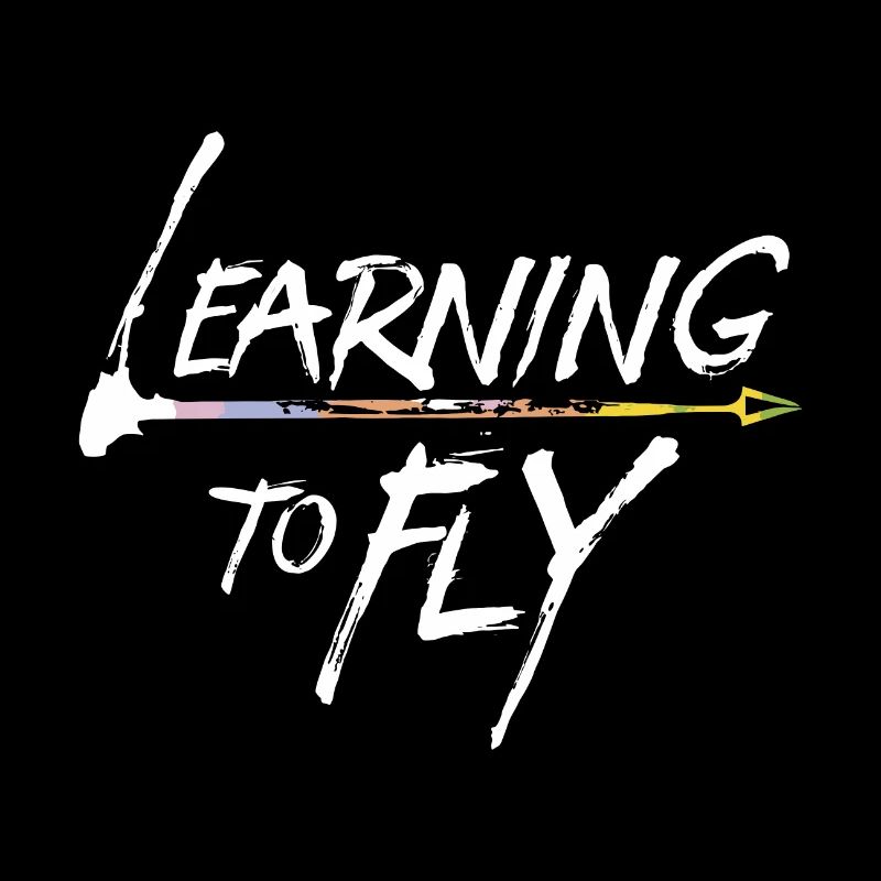 Learning to fly Flying Airplane Pilot Flyer