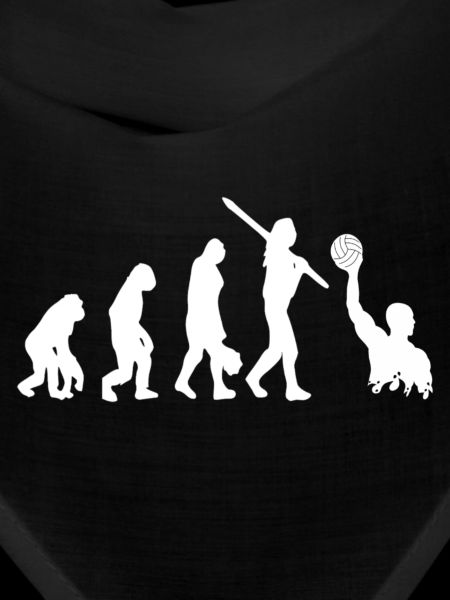 Water Polo Evolution