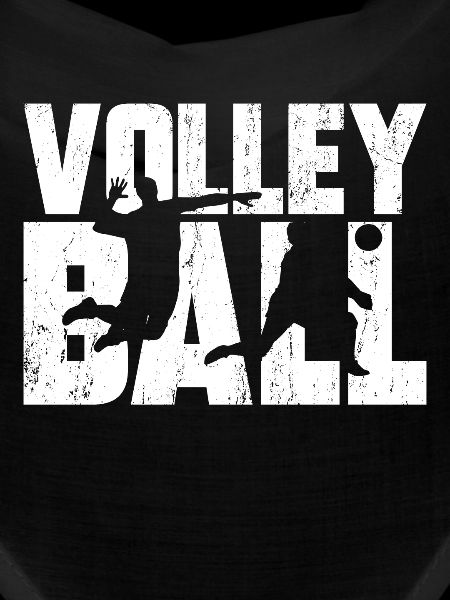 volley ball