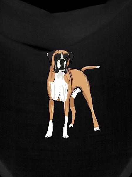 Chien boxer