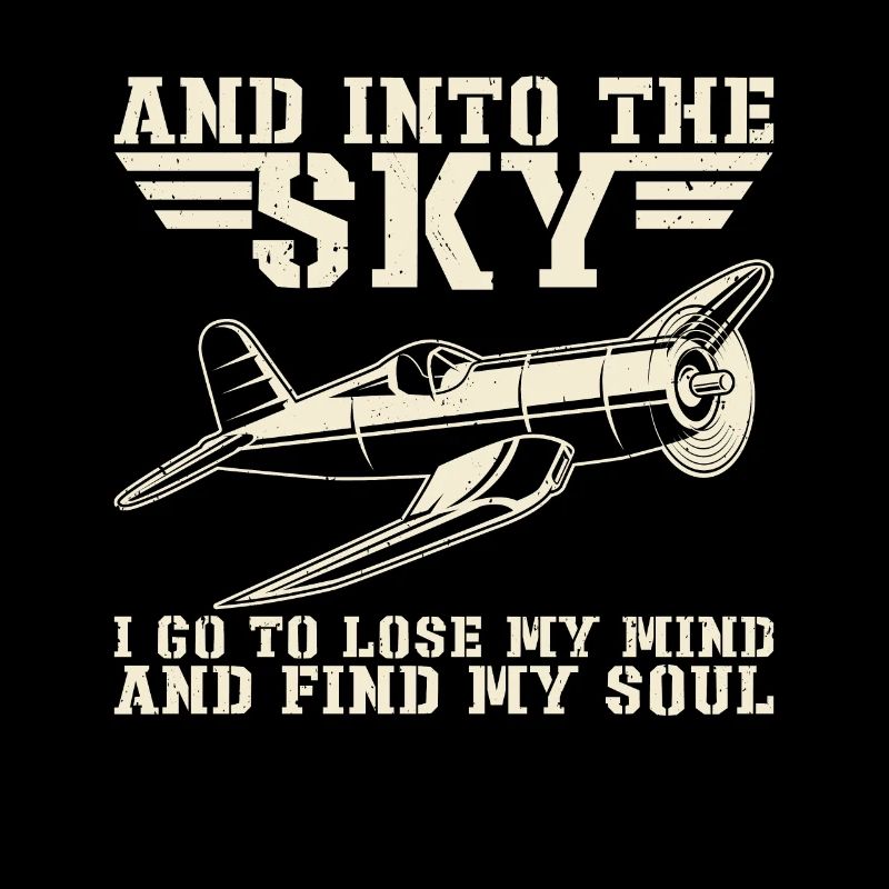 And Into The Sky Pilot Flying Airplane Flight