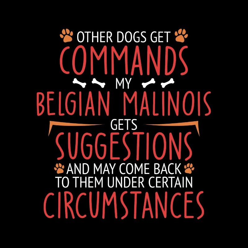 Malinois belge commande Berger belge