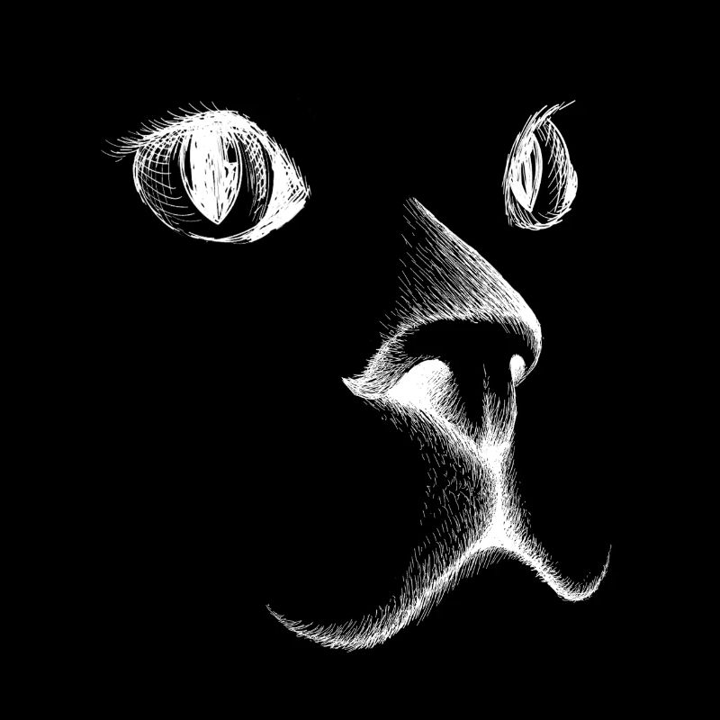 Visage de chat