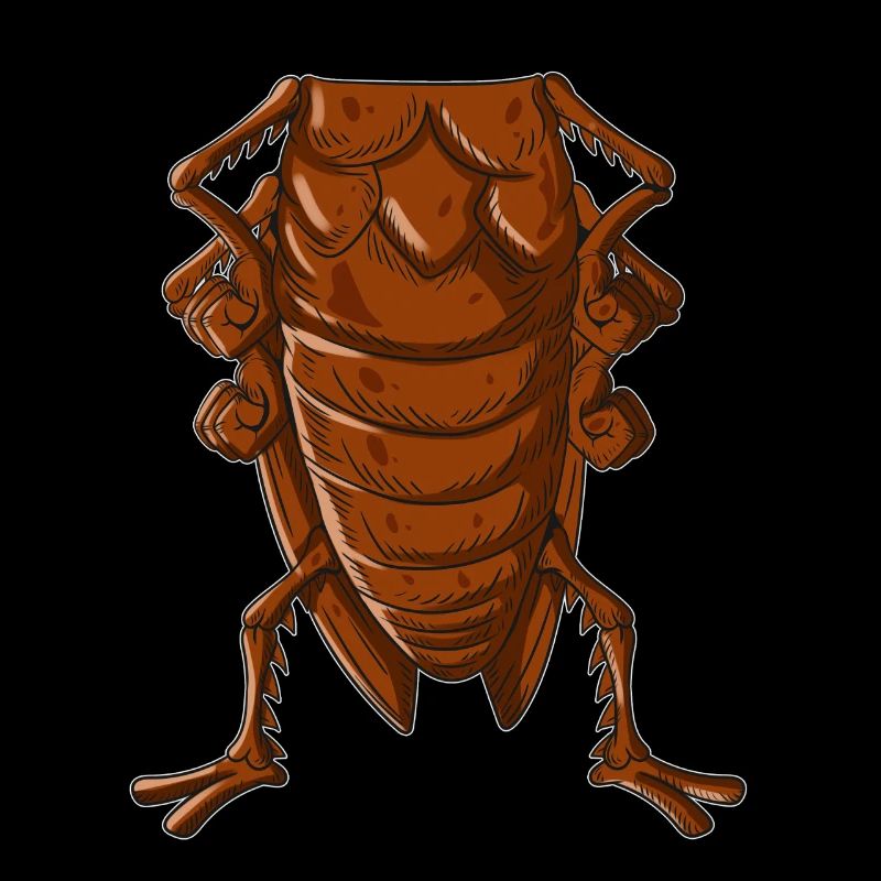 Cafard Insectes Costume Cafards Corps