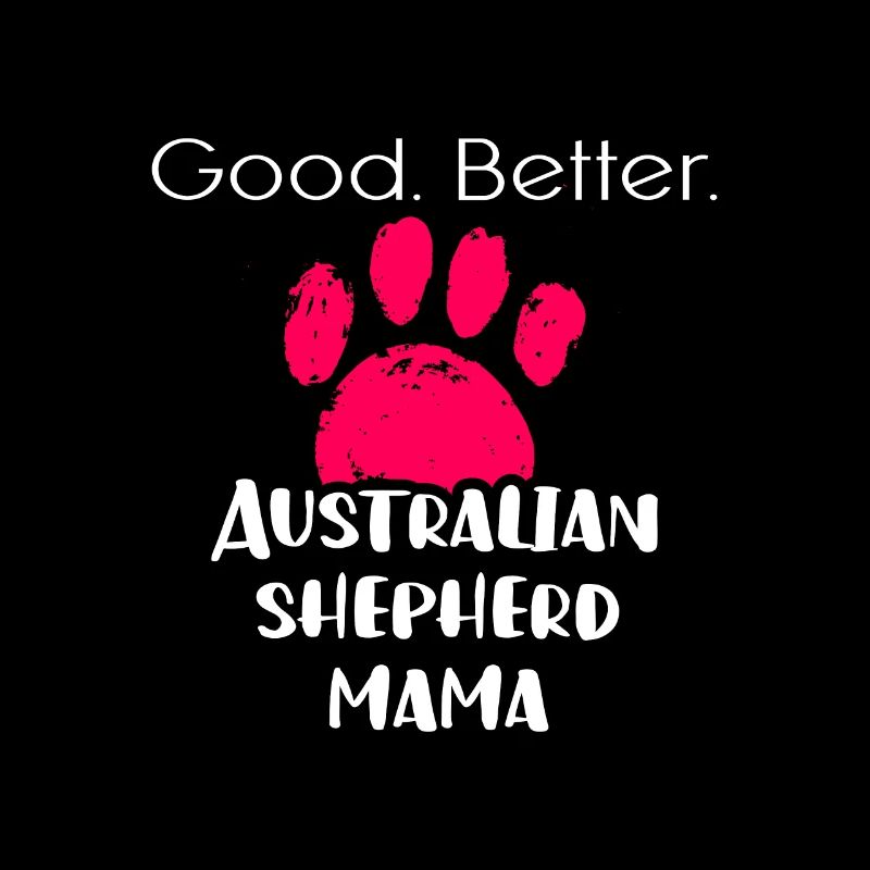 Australian Shepherd