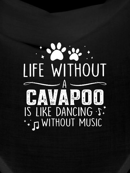 La vie sans Cavapoo