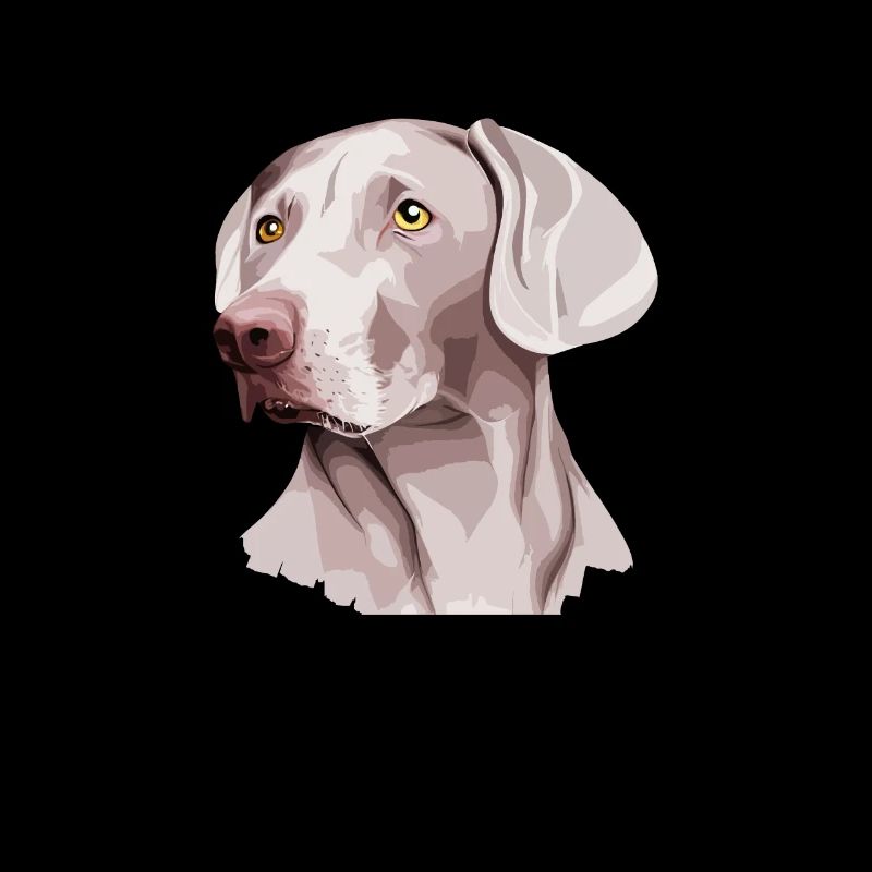 weimaraner dog