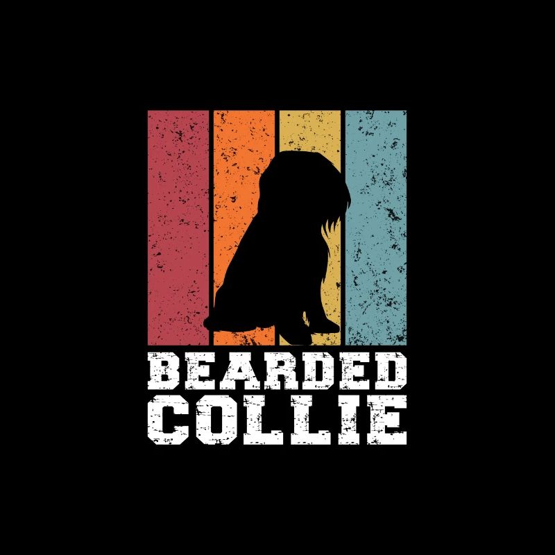 Bearded Collie