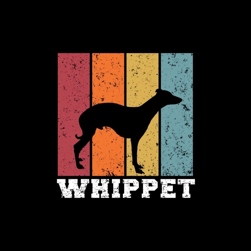 Whippet