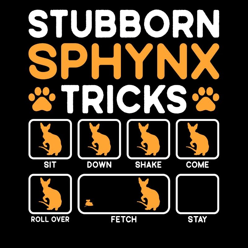 Tricks têtus Chat Sphynx