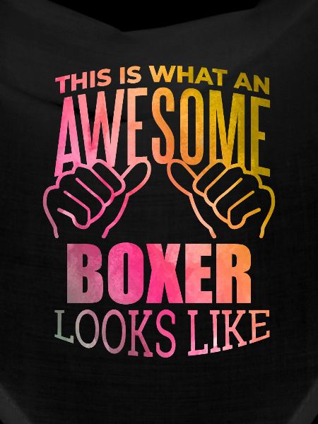 Boxing Boxing Boxing