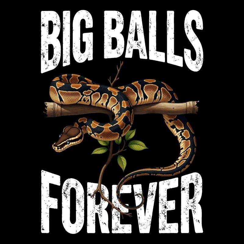 Python roi Serpents Amateurs de terrarium Python