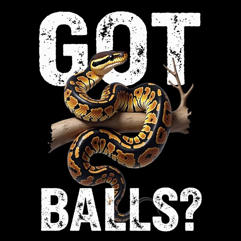 Python roi Serpents Amateurs de terrarium Python