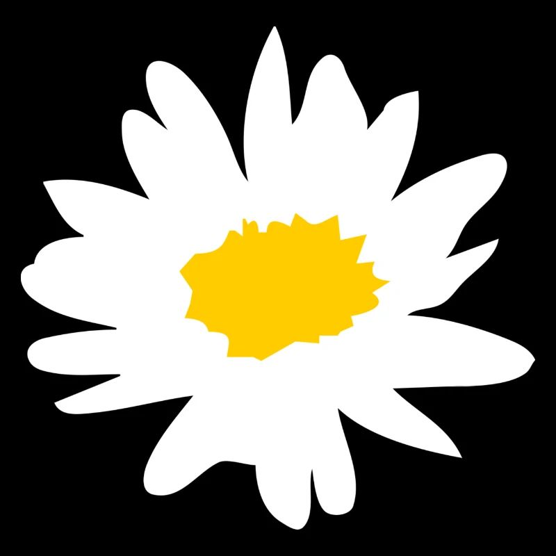 Margerite - Butterblume - Gänseblümchen