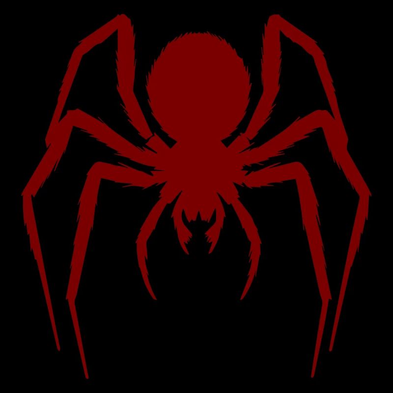 Haarige Spinne