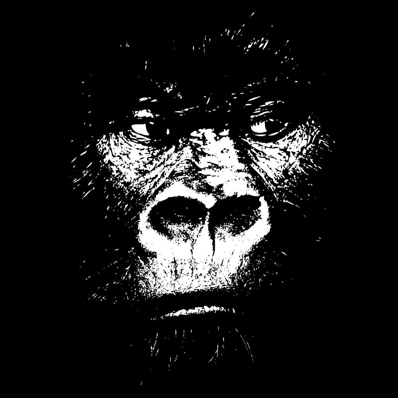 Expressionist Monkey Illustration, Gorilla